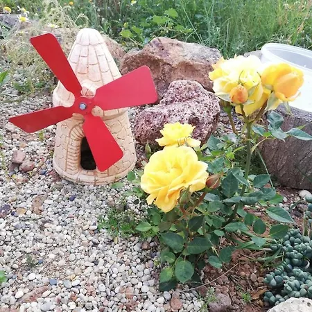 La Belleza De 롯지