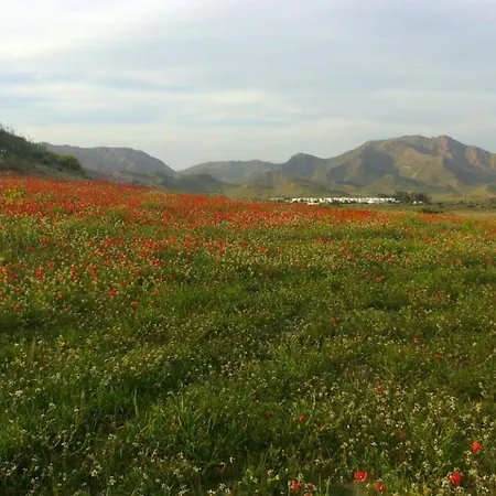 La Belleza De Rodalquilar